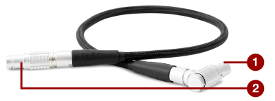 RED W.M.D. Motor Cable (12")