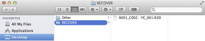 Verify Recovered Files