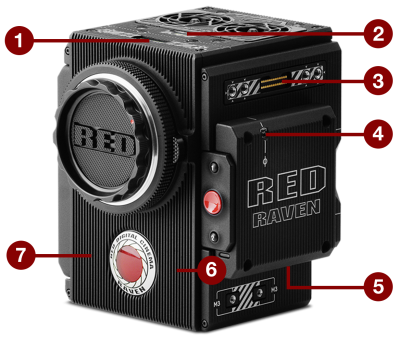 Puertos y Funciones de RED RAVEN BRAIN