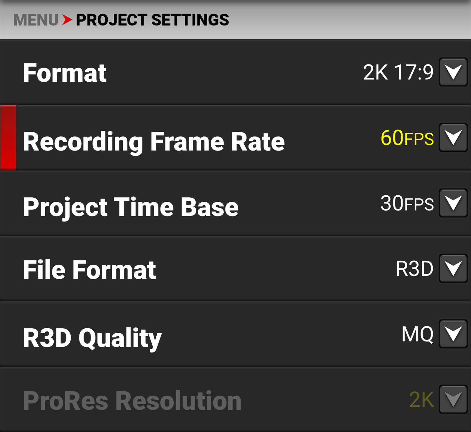 Recording Frame Rate
