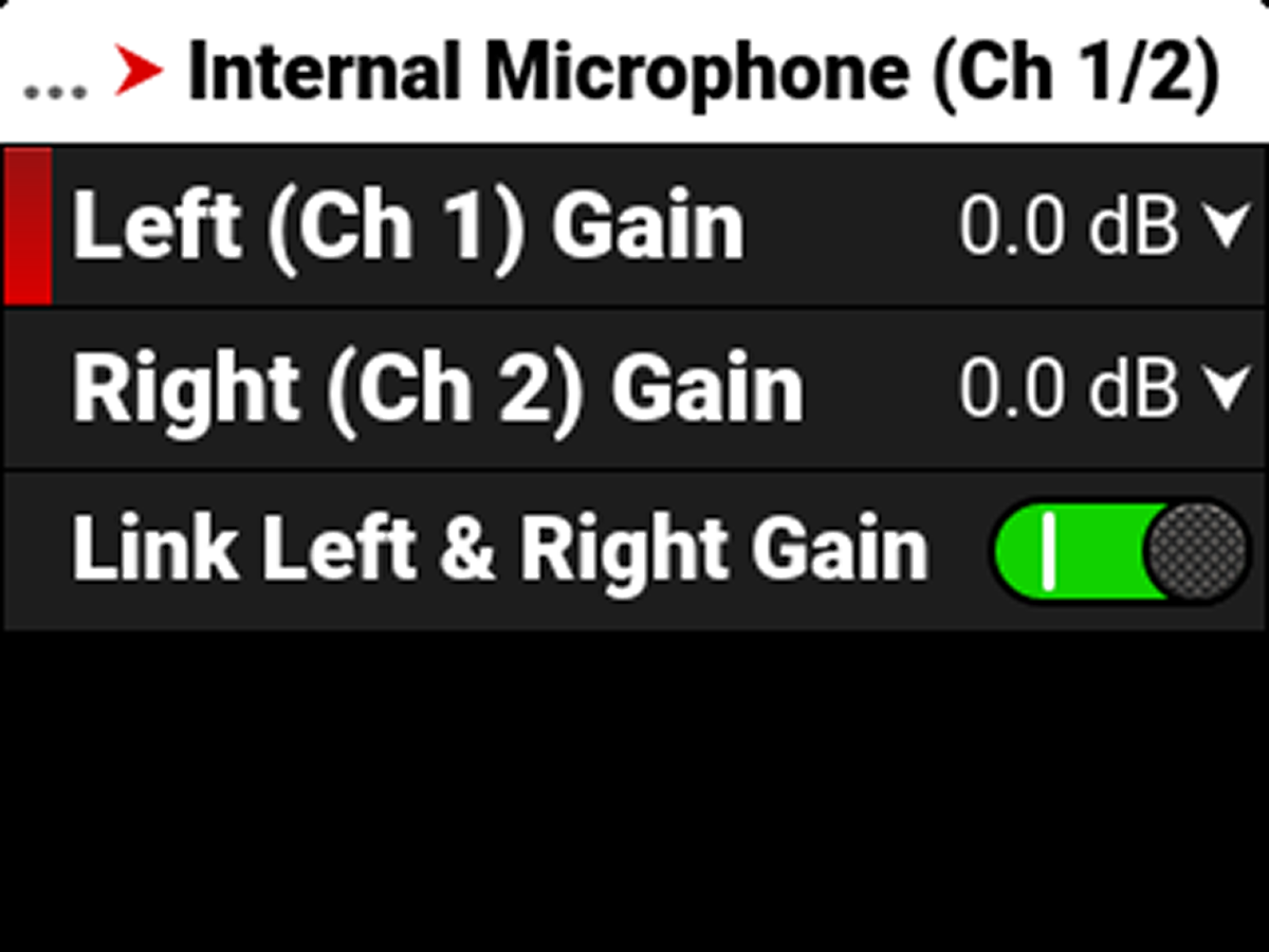 Internal Microphone (Ch 1/2)