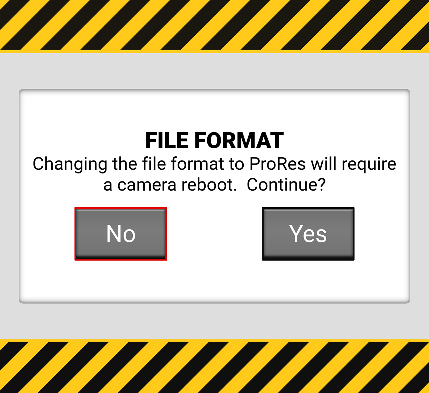 File Format